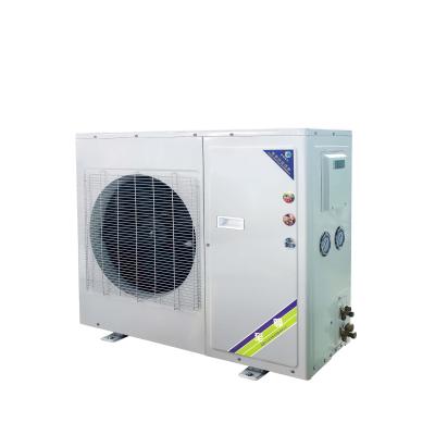 China Type R404/22 Copeland Screw Compressor Condensing Cold Storage Room Freezer Room Low Noise Refrigerant Wall Mounted Unit for sale