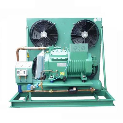 China Hot Selling Cold Storage Medium R404 Meat Fish Refrigerant R404 Frozen Cold Room Condensing Unit With Oil Separator for sale