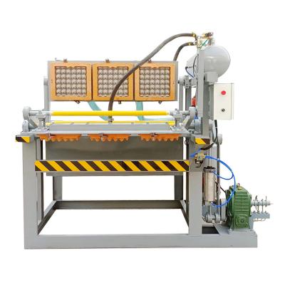 China Package Produce High Quality Paper Egg Tray Machine Plant For Food And Beverage Stores for sale