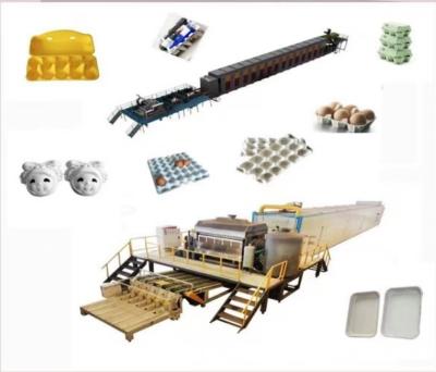 China Package produce fully automatic paper wine /coffee cups trays egg tray machine for food and drink shops for sale