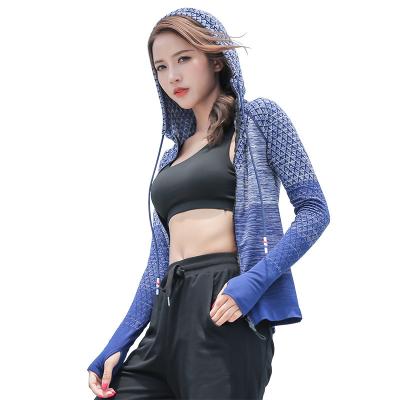 China New Insist Gradient Color Yoga Fitness Antibacterial Knitted Top Clothes Fashion Pants Drawstring Zipper Hooded Sports Jacket for sale