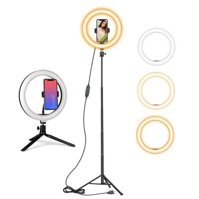 China Professional PORTABLE 10 Inch Livestream LED Selfie Photographic Lighting Ring Lamp Dimmable Circular Beauty Lamp Tripods for sale