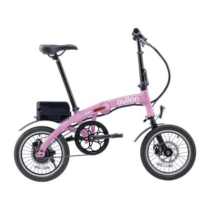 China Foldable E-bike 250W Aluminum Alloy Motor Power Assist 16 Wheels Removable Dual Disc Brake 36V Lithium Battery for sale