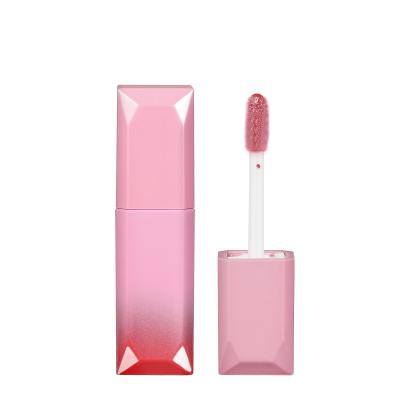 China Women Sexy Shiny Liquid Lipstick Lip Gloss OEM Makeup Sunscreen Waterproof Long Lasting Lip Gloss for sale