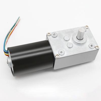 China Home Appliances High Torque Worm Gear Motor 24v DC Motor For Home Appliance Parts for sale