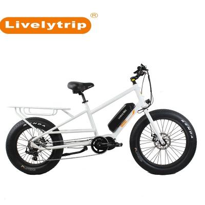 China Factory outlet aluminum alloy frame fat tire ebike best mid motor 1000w electric bicycle for sale