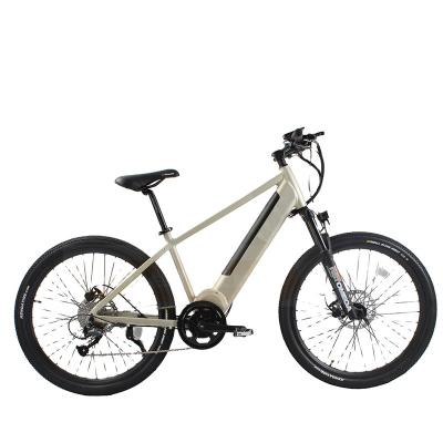 China china standard frame electric bicycle chinese electric bike with rear 250w motor for sale