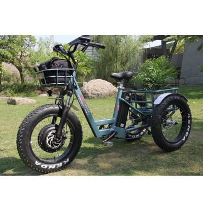 China New Product 3 Wheel Aluminum Alloy Cargo Electric Bike 3 Wheel Electric Bicycle Bikes 48V for sale