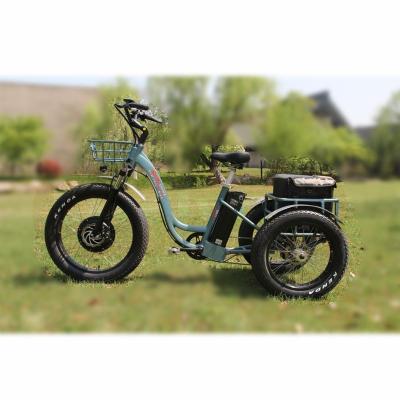 China New Type Front Hub Motor 3 Wheel Electric Bike Cargo Tricycle Aluminum Alloy 2019 Electric Bicycle for sale