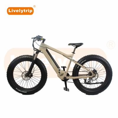 China 2019 Wholesale Aluminum Alloy E-Bike Electric Bike 26inch 250w 750w 1000w High End Tire With F/R Disc Brake Battery for sale