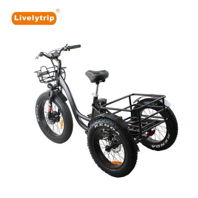 China Popular aluminum alloy style fat e bike, electric fat tricycle snow ebike with CE certificate for sale