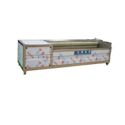 China Fruit Processing Plant Cassava Potato Turmeric Washing Peeling Machine for sale