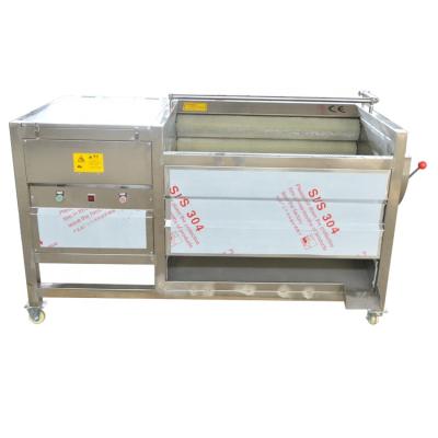 China Huagang Fruit Processing Plant SS304 Garlic Coconut Potato Washing and Peeling Machine for sale