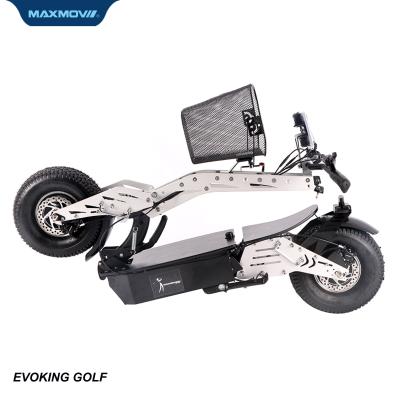 China Unisex Electric Scooter 2000W Golf Cart With Single Seat for sale