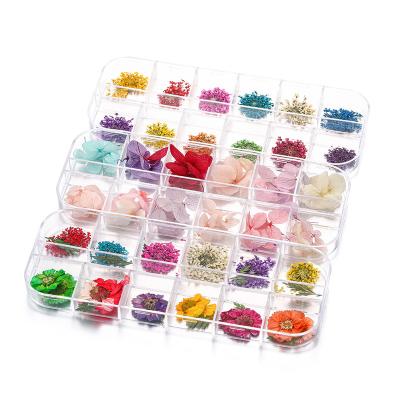 China Multifunctional and universal dry flower box DIY drip glue phone case/flowers real nail/jewelry materials for resin crafts for sale