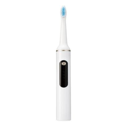 China New Arrival Item Wholesale Electric Toothbrush Adult 1.2w Rechargeable Toothbrush for sale