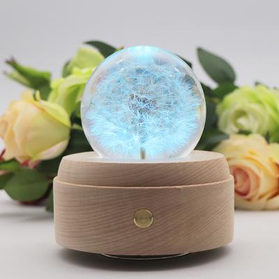 China Wholesale Modern Bedside Table Lamp Dandelion Color Changing 3d Crystal Night Light with Music for Girls for sale