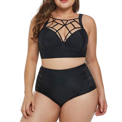 China 2019 Plus Anti-UV Classified Women Swimwear Sexy Open Bikini Hot Swimwear 2xl 5xl for sale