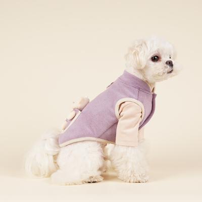 China 2022 Sustainable New Best Selling 100% Polyester Spring Winter Wear Cute Three-Dimensional Bear D Button Easy Pull Pet Clothes For Dog for sale