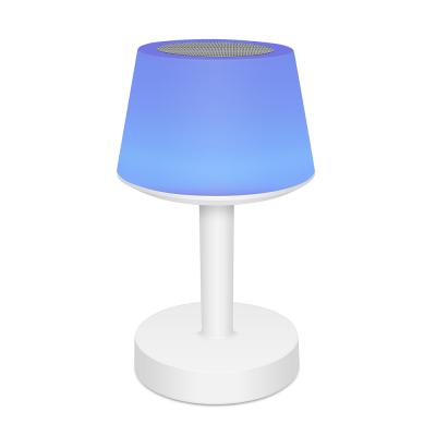 China Colorful Portable Wireless Video Call Music Table Lamp Flame Speaker for sale