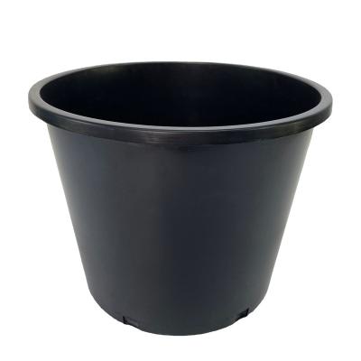 China Modern Black Large And Thickened Anti - Aging , Anti - Drop Plastic Grow Seedling Gallon Basin for sale