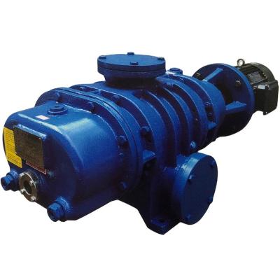 China 2021 New Automotive Industry Roots ZJ-300 Vacuum Pump for sale