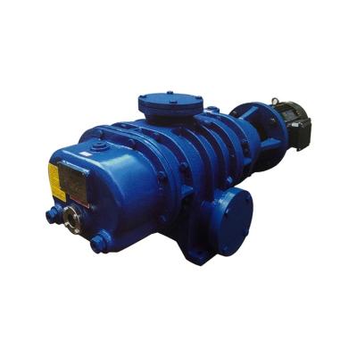 China Automotive Industry Made In China Top Quality Multifunctional Vane And ZJ Roots Rotary Vacuum Pump for sale