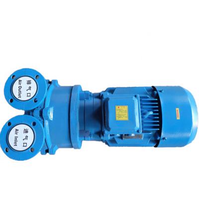 China Automotive Industry 5.5KW 2BVA5111 Series Single Stage Water Ring Vacuum Pump for sale