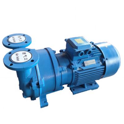 China Automotive Industry 5.5kw 2BV5111 Single Stage Water Circulated Liquid Ring Vacuum Pump for sale