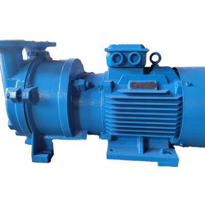 China Automotive Industry 2BVA Series Single Stage Water Ring Vacuum Pump From Vacuum Pump Manufacturer for sale