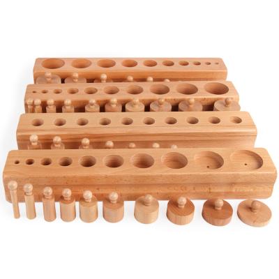 China Hot Selling Reasonable Price Montessori Toy Building Blocks Educational Good Quality Wooden for sale