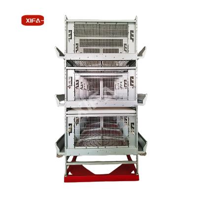 China Full Automatic Chicken Layer Cages Poultry Farm Cage Design One Type Design Extending Hen Cage for sale