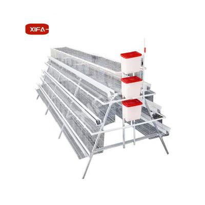 China Improve Design Survival A Type Layer Cage Cage Sheds For Poultry Farm for sale