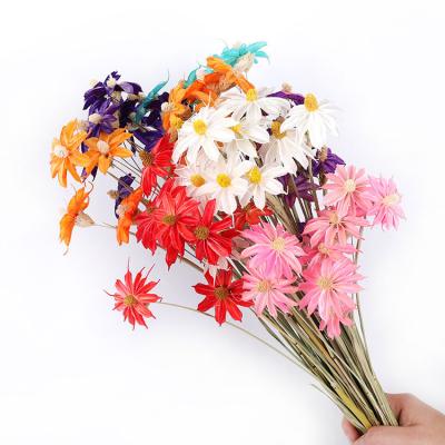 China Yunnan Green Plant Environmental Protection Decoration Daisy Direct Natural Wedding Small Daisy Flowers for sale