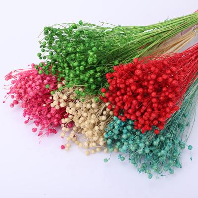 China Green cheap price factory wholesale natural dry love jequirity dried pea flower environmental protection for sale