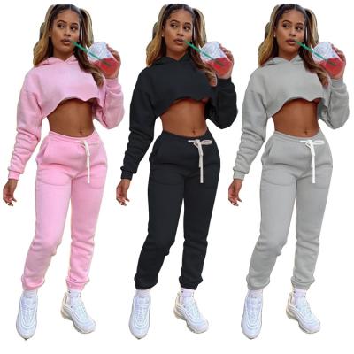 China Autumn Winter 3XL Breathable Solid Casual Sports Suit Women Tracksuit Crop Top Hoodie Pants Two Piece Set for sale