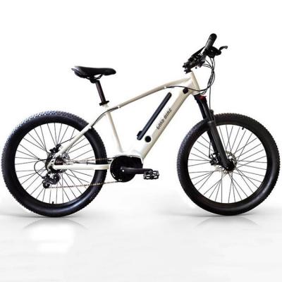 China China 2021 hot sale new china lithium battery electric bikes aluminum alloy mountain/road electric bike for sale