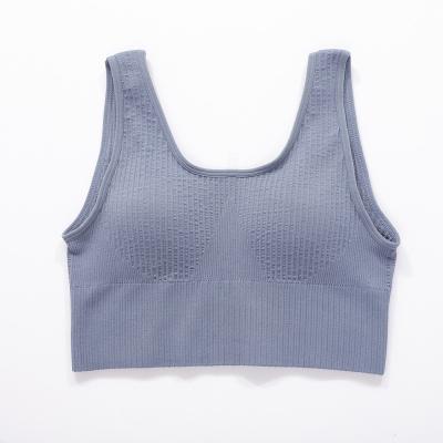 China Good Quality Breathable Seamless Push Up Bra Comfortable Wire Free Yoga Sports Bra for sale