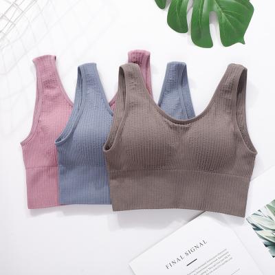 China Breathable Pure Color Women Seamless Gathering Type Without Ring Steel Yoga Sports Bra for sale