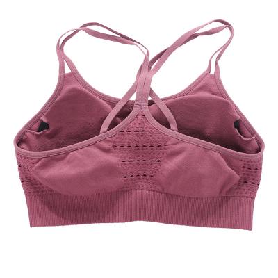 China Europe America Style Breathable Shockproof Sports Push Up Bras For Women for sale