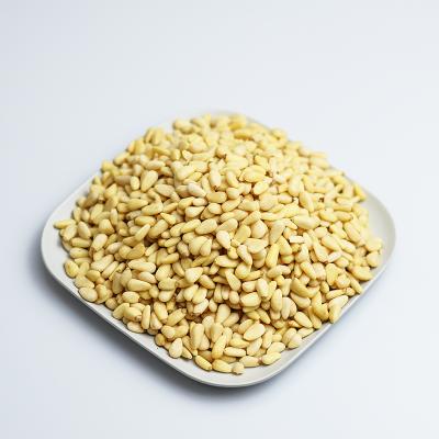 China Top Snack Grade Pine Nuts Available / Pure Red Dried Fruit Pine Nut 650 Cores for sale