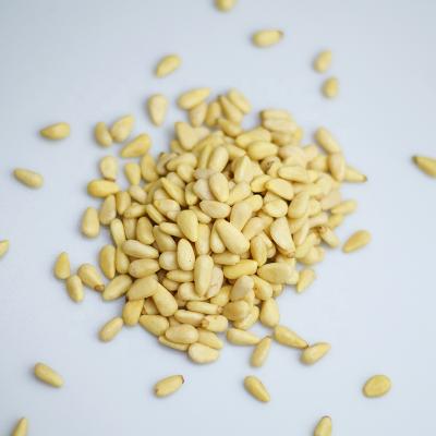 China Pinenut White Pine Nuts Kernels Snack Gables for sale