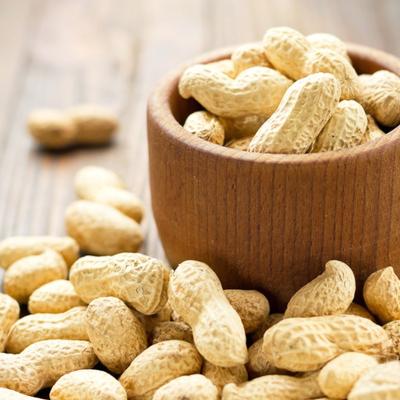 China Cheap Price Dry Dried Bulk Raw Peanut PP PAG In Shell Peanut With Shell for sale