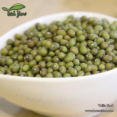 China Chinese Food Grade Dried Green Mung Bean Dal For Sale for sale