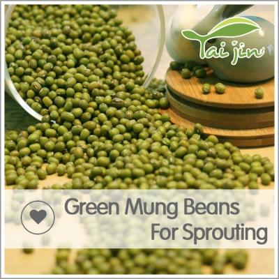 China Dry sell 3.6mm green mung bean seeds wholesale specification for sale