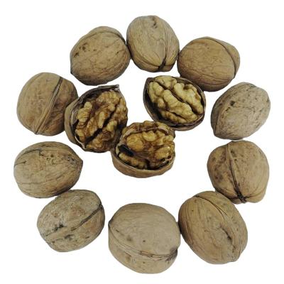 China Dried Most Popular Purely Natural Thin Skin A Grade Chinese Nut Walnut High Nutrition Walnut for sale