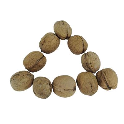 China Factory Direct High Nutrition Natural Organic Thin Skin Dried Fresh Walnut A Grade for sale