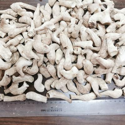 China Cheap Price Dried Shiitake Stem Mushroom Stem For Sale for sale