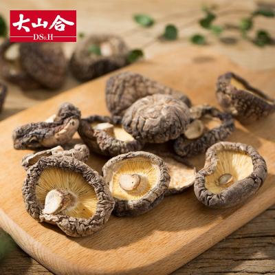 China Factory price dry dried magic shiitake mushroom for sale