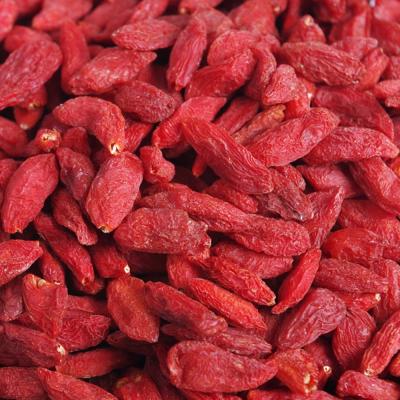 China Wholesale nutritious Ningxia dried wolfberry goji berry for sale